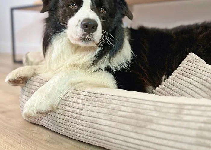 Apartament Dobruk Roma Prywatny W Royal Tulip Kołobrzeg