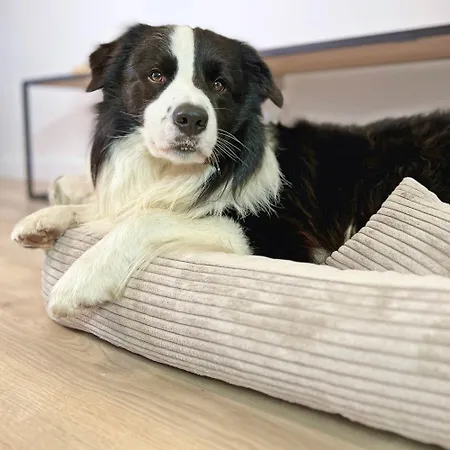 Apartment 408 W Pieciogwiazdkowym Royal Tulip Plaza 200 M Dobruk Kolobrzeg